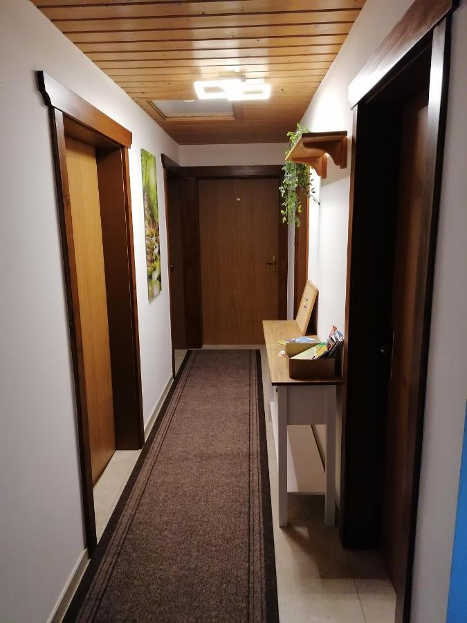 Haus Spertental Daire Kirchberg in Tirol Dış mekan fotoğraf