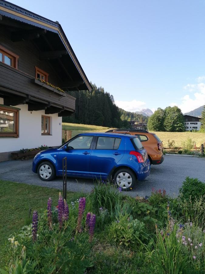 Haus Spertental Daire Kirchberg in Tirol Dış mekan fotoğraf